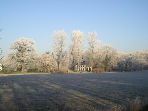 mainimage