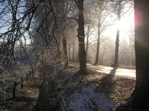 mainimage