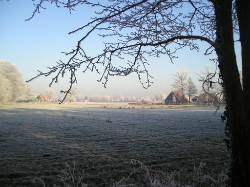 mainimage