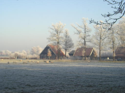 mainimage